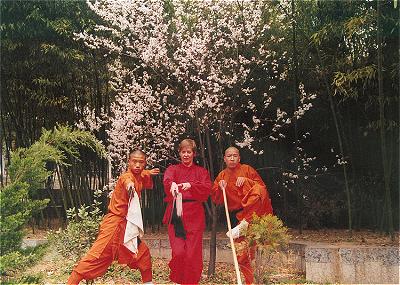 Kungfu im Bambus vom Shaolin Tempel