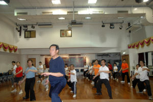 Chen Taiji Meister Chen Xi'an Wang