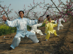 Chen Taiji Meister Chen Xi'an Wang