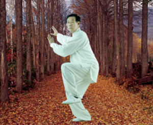 Chen Taiji Meister Chen Xi'an Wang